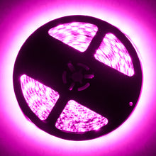 Load image into Gallery viewer, Oracle Exterior Flex LED Spool - Pink SEE WARRANTY