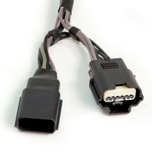 Load image into Gallery viewer, Photo - Unmounted