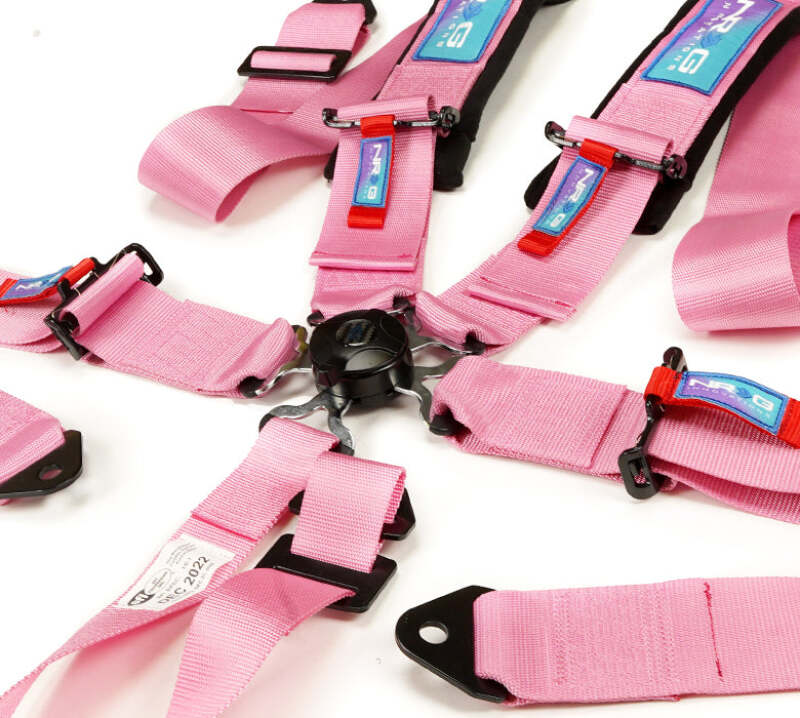Photo - Close Up