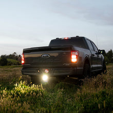 Load image into Gallery viewer, Photo - Primary