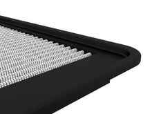 Load image into Gallery viewer, Photo - Close Up