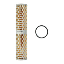 Load image into Gallery viewer, Photo - Primary