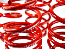 Load image into Gallery viewer, Skunk2 12 Honda Civic Lowering Springs (2.25 - 2.00in) (Set of 4)