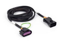 Load image into Gallery viewer, Haltech NEXUS Rebel LS Corvette Pedal Adaptor