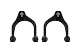 Eibach Pro-Alignment Rear Camber Kit for 09 Acura TL/TSX / 08 Honda Accord 3.5LV6 / 08-09 Accord 2.