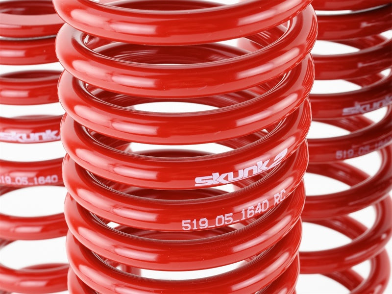 Skunk2 90-93 Acura Integra Lowering Springs (2.50in - 2.25in.) (Set of 4)