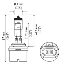 Load image into Gallery viewer, Hella Bulb 880 12V 32W Xen Wht Xb (2)