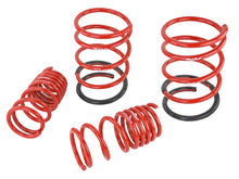 Load image into Gallery viewer, Skunk2 02-05 Honda Civic Si Hatchback Lowering Springs (2.25in - 2.00in.) (Set of 4)